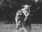 2036240016_aa2391f767 A real sheep-stealer.
