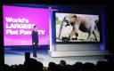 panasonic-150-in-plasma-tv.jpg